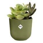 jazz round mini 9cm may green